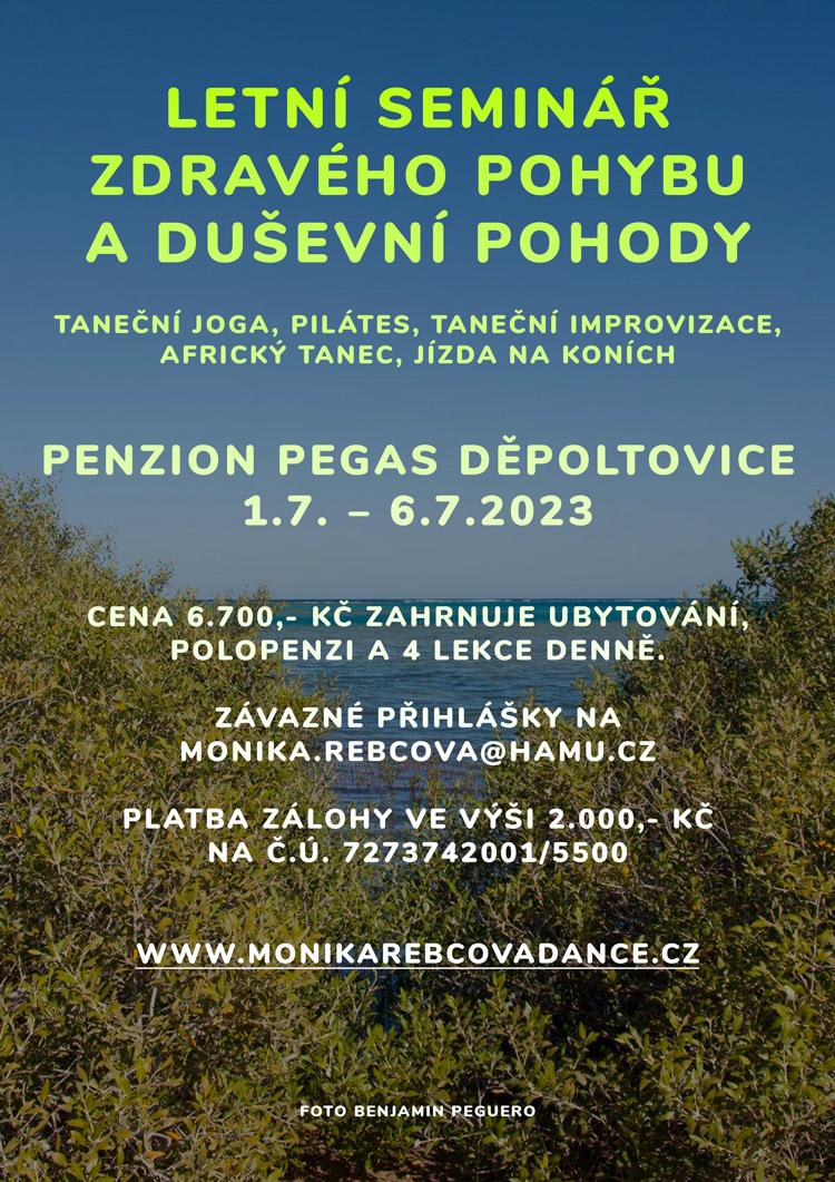 Letní seminář zdravého pohybu a duševní pohody, od 1.7.2023